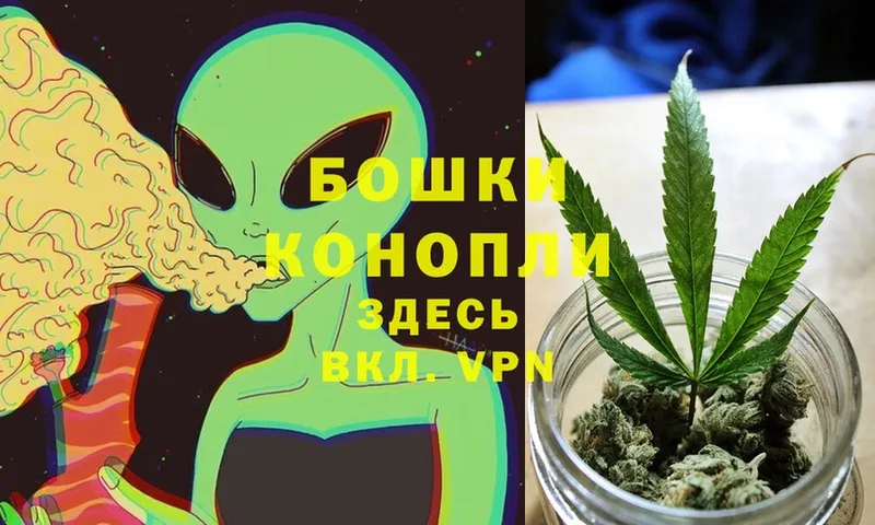 Шишки марихуана OG Kush  Завитинск 